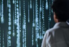 innovation across diverse identifiers