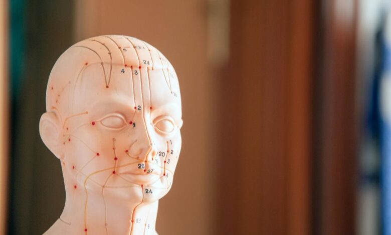 insightful reference points analysis