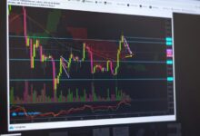 market signals for analysis