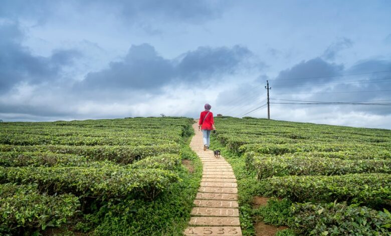 velocity horizon data points