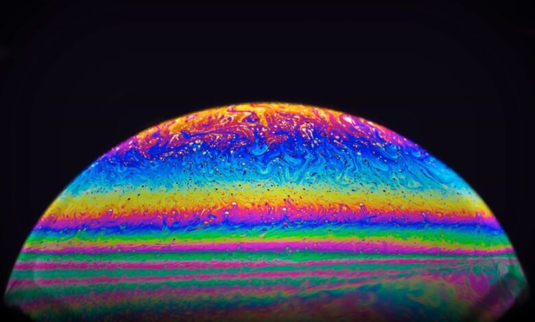 cosmic prism animal movie