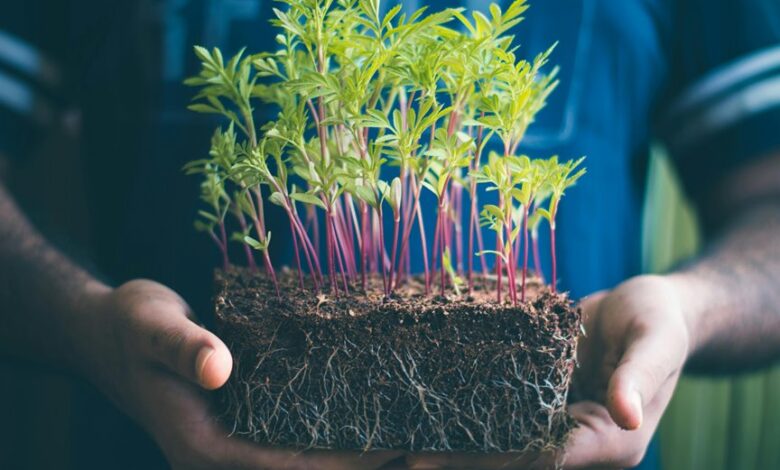 infinite arc inspiring growth