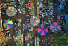 infinite arc market horizons unlocked