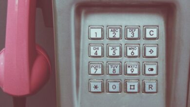 browse phone numbers registry records