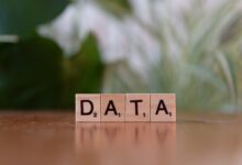 number registry lookup for five ids