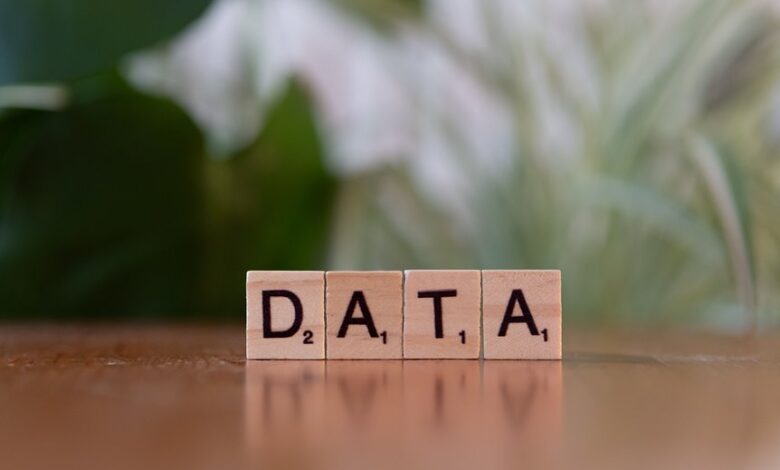 number registry lookup for five ids