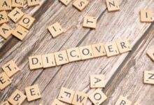 public registry findings summary