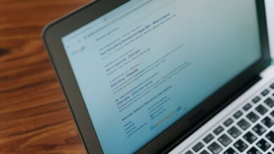 registry lookup results for specific ids
