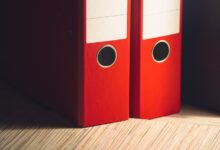 review registry intelligence files for specific ids