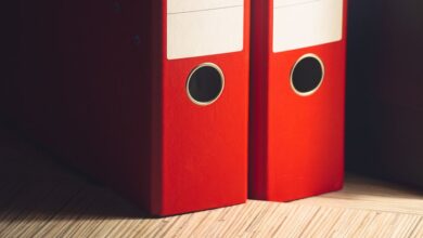 review registry intelligence files for specific ids