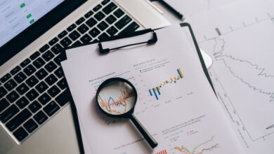 search registry for specific report ids