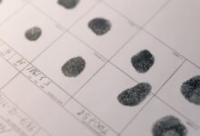 search registry reference numbers