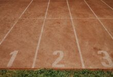 track registry findings for specific numbers