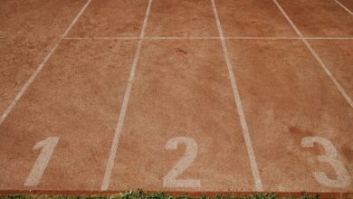 track registry findings for specific numbers